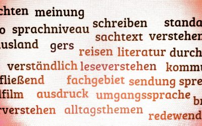 Gemeinsamer europäischer Referenzrahmen für Sprachen | Unterteilung nach Grundkompetenzen