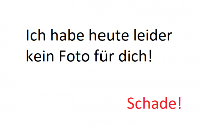 Gute Frage: leider vs. schade vs. leidtun
